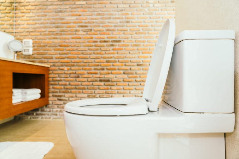Cómo elegir un inodoro inteligente para el baño